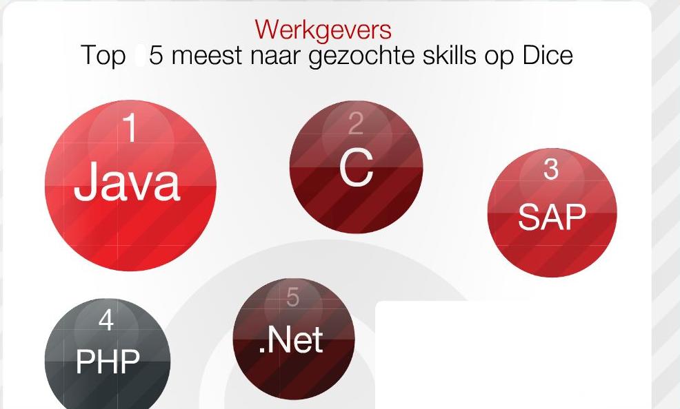 dice werkgevers gezocht 6