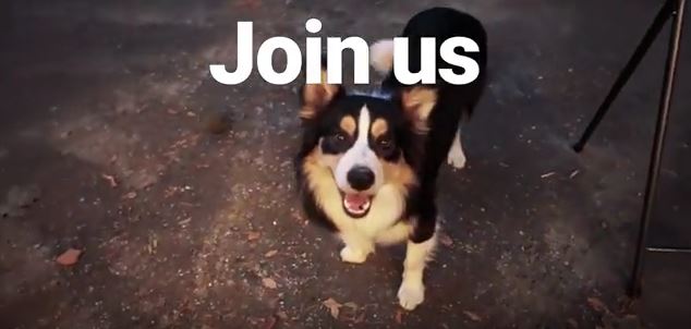 drone-recruitment-dog-join-us