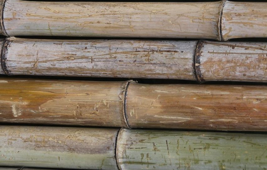 bamboe plafond enthousiasme