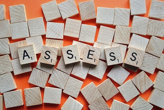 ‘Analyseren’, ‘samenwerken’ en ‘doelen bereiken’ meest gezocht in assessments