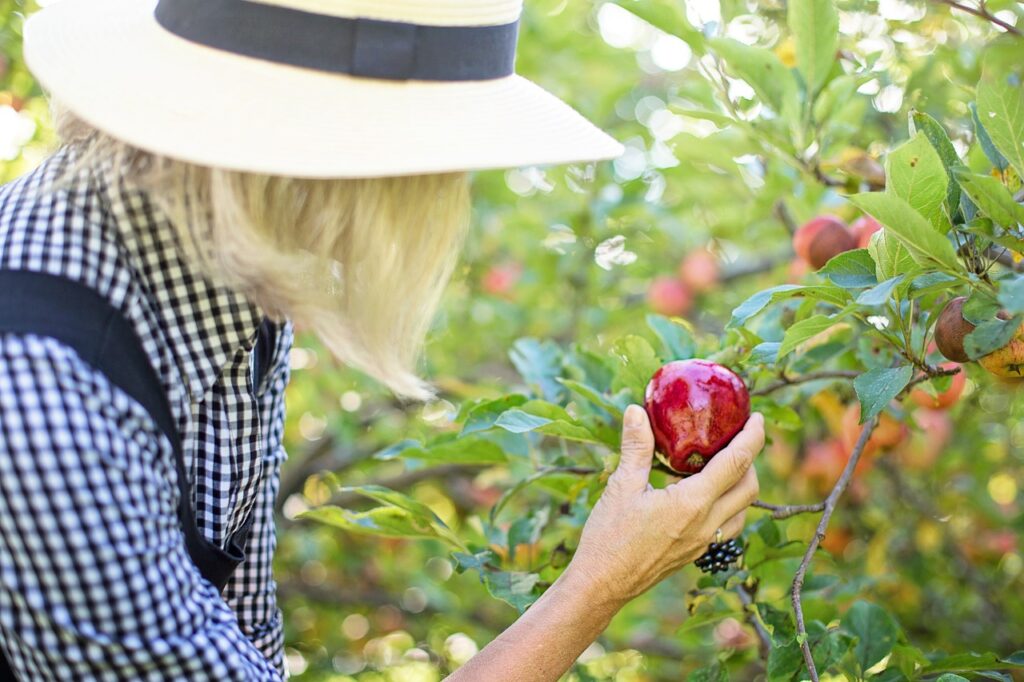 Slechts 3% werkgevers past vacatureteksten aan (en nog 4x laaghangend fruit)