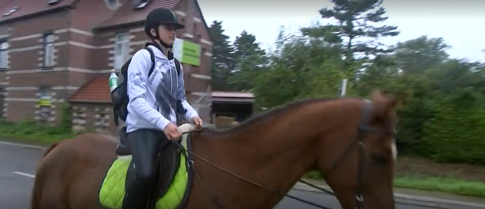 Funny Friday: er staat een paard in de gang