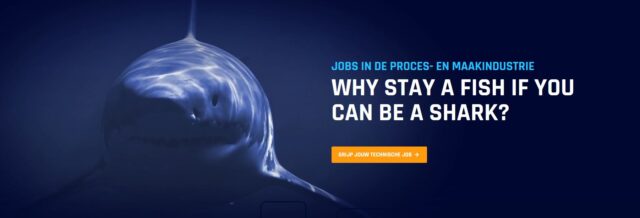 techsharks bureaurecruiters