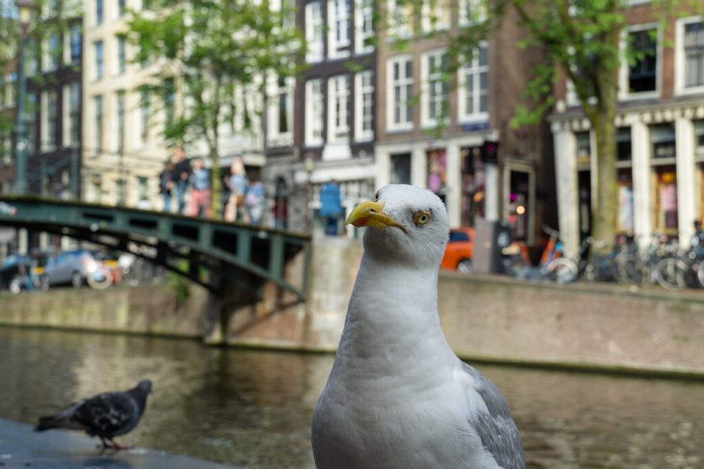 Nieuw onderzoek: regio Amsterdam zwaarst getroffen tech-hub in Europa