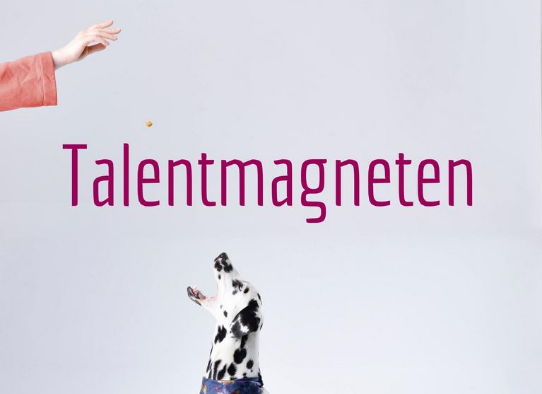 7 recruitment- en HR-lessen van ware talentmagneten