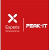 Experis/PEAK-IT