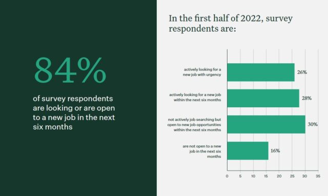 rapport van candidate experience greenhouse