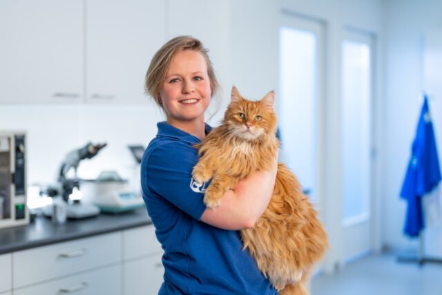 ranzijn aard van het beestje huisdieren