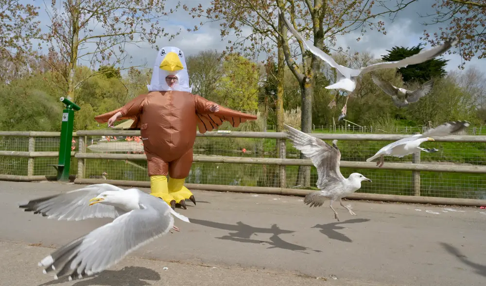 ‘Menselijke vogelverschrikker’ worden? Een vacature hiervoor leverde honderden sollicitaties op