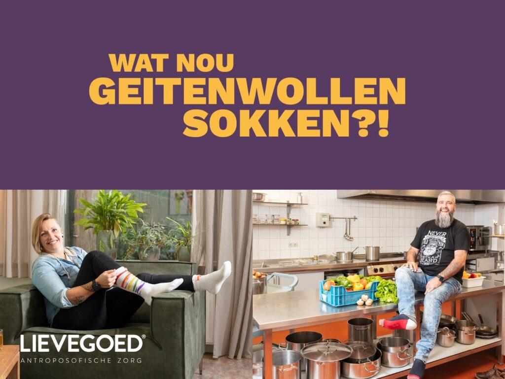 Over de geitenwollensok die centraal staat in de nieuwe Lievegoed-campagne