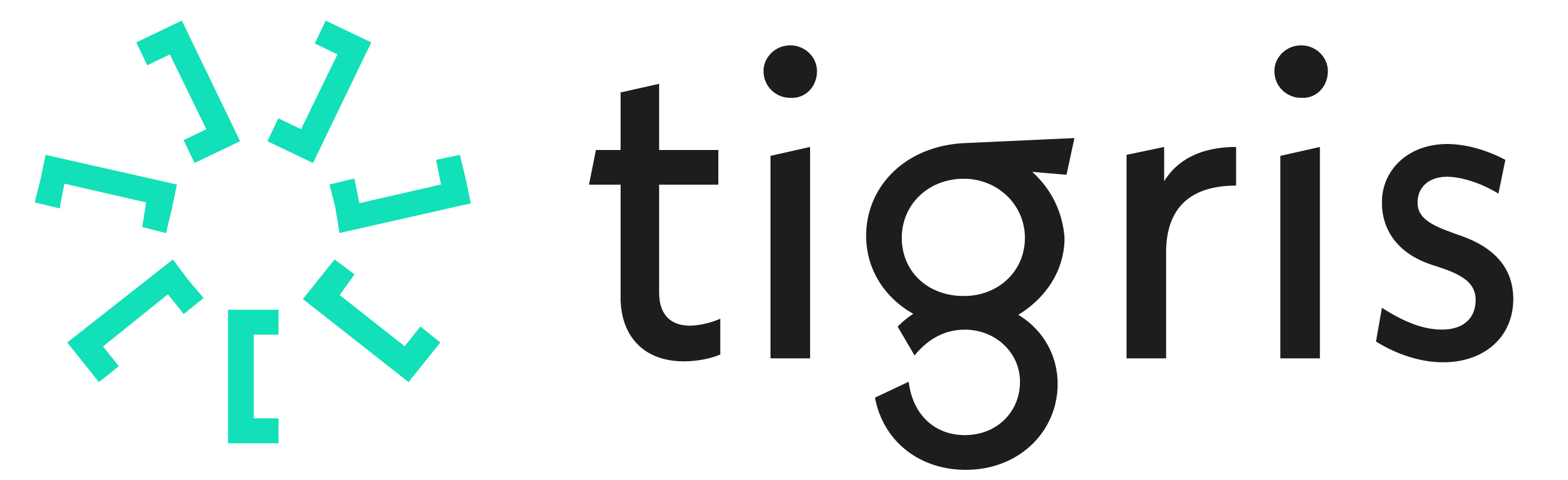 Tigris - Werf&