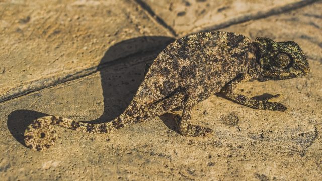 Waar moet je op letten bij je kandidaten? Deze 6 persoonskenmerken blijken elke keer weer cruciale voorspellers van succes. En zó stel je vast of iemand ze heeft.