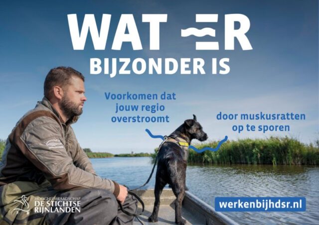 Hoogheemraadschap De Stichtse Rijnlanden transformeerde recruitment in 1 jaar. Vanuit de kandidaatbeleving met focus op processen, positionering en een sterk werkgeversmerk. Lees de hele case, ingezonden in de categorie Recruitment voor de Werf& Awards 2025.