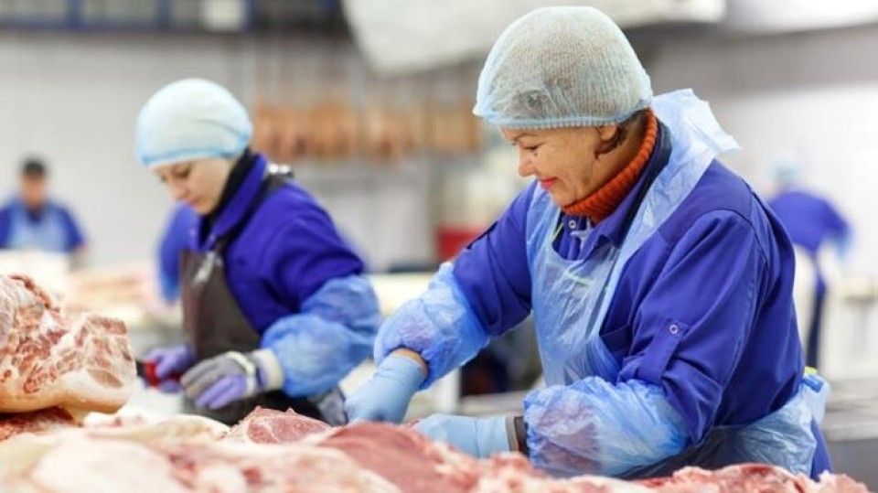 zvoove neemt Plan4Flex over, met oog op groeiende arbeidsmigratie