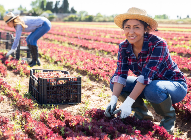 Gaat er nu dan eindelijk iets gebeuren op het gebied van arbeidsmigratie?